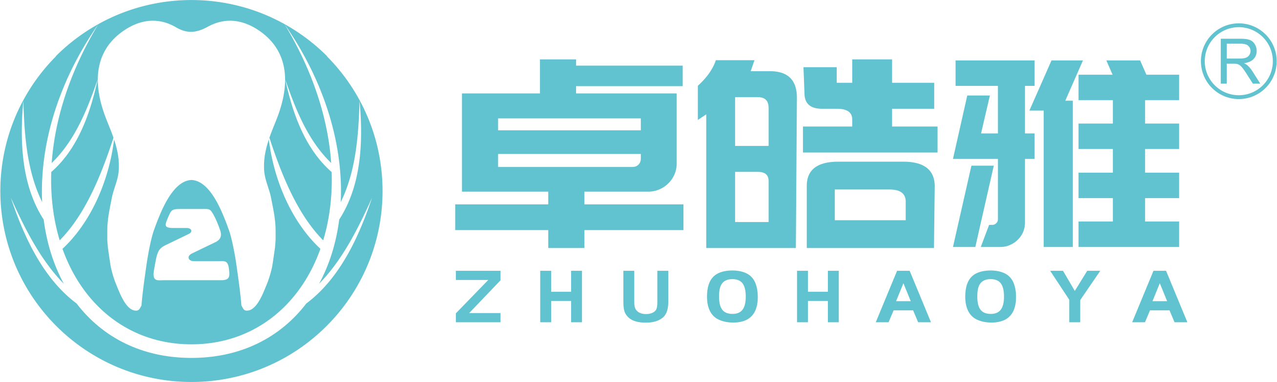 四川卓皓雅医疗器械有限公司
